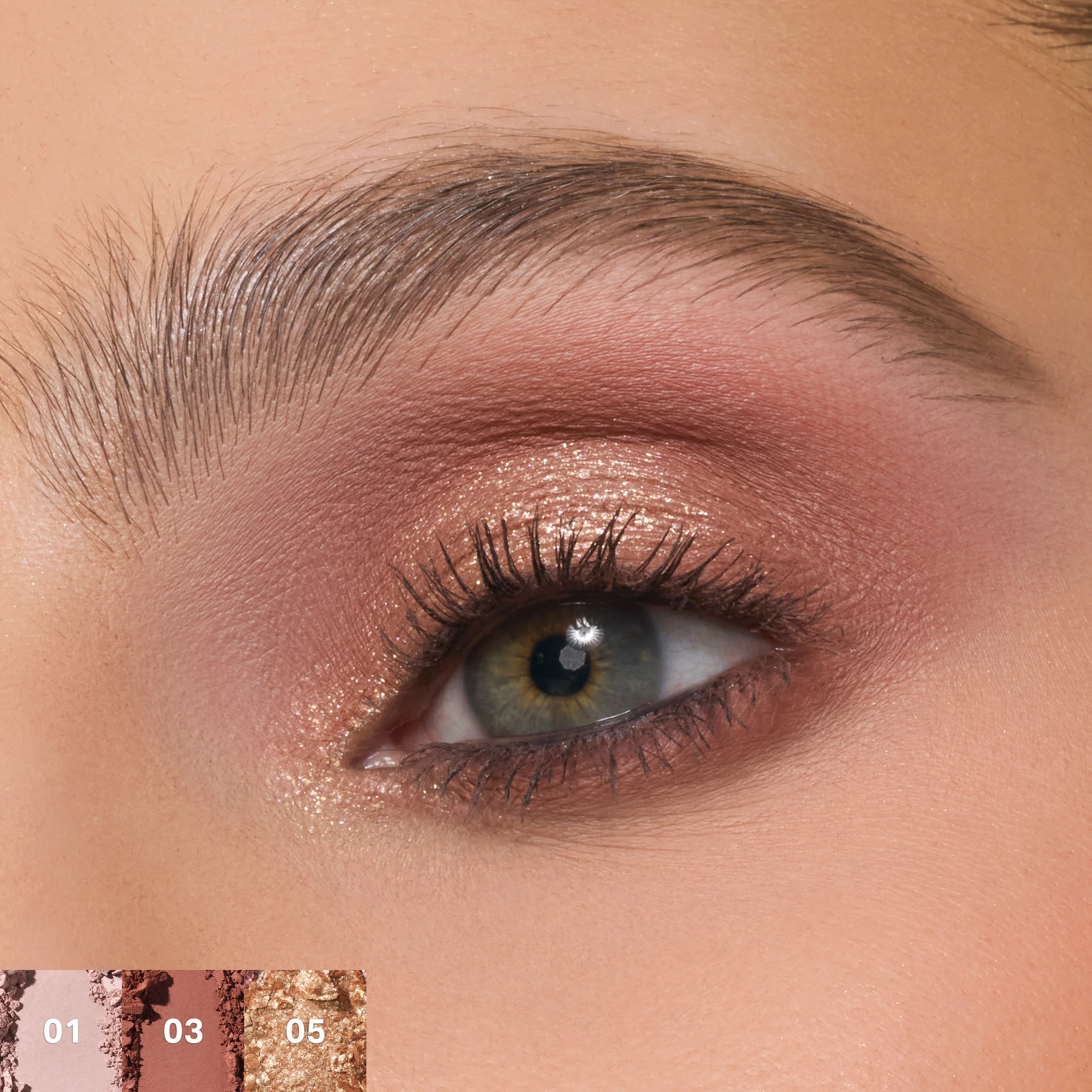 ChromaPlus 6-Pan Eyeshadow Palette - Outer Spice