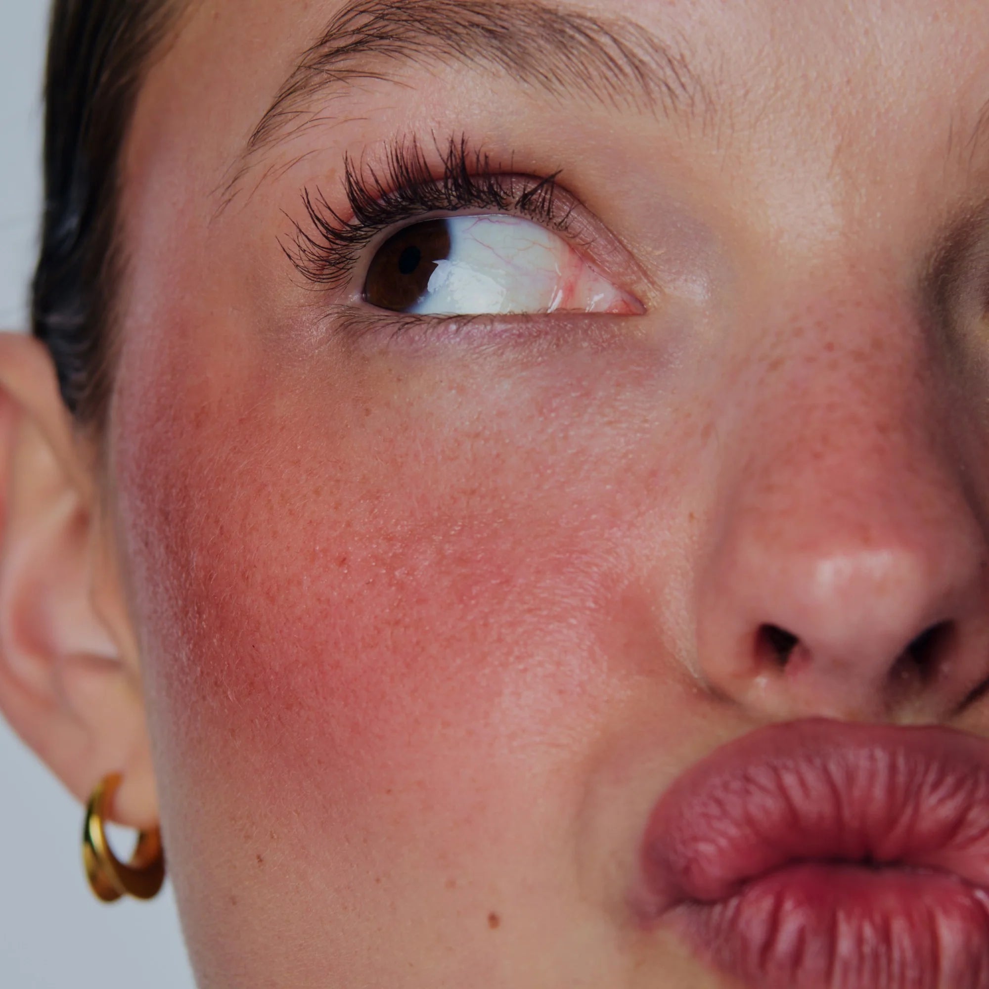 toasted teddy pocket blush